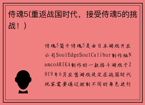 侍魂5(重返战国时代，接受侍魂5的挑战！)